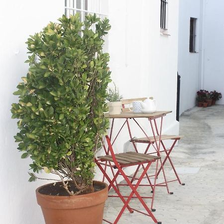 La Moradita Vejer de la Frontera Exterior foto